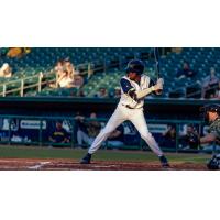 Montgomery Biscuits at bat