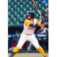 Columbia Fireflies' Blake Mitchell at bat