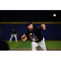 Pensacola Blue Wahoos in action