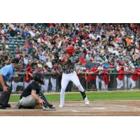 Andy Armstrong of the Winnipeg Goldeyes at bat