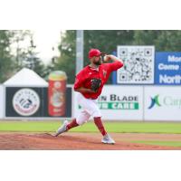 Winnipeg Goldeyes' Mitchell Lambson in action