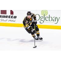 Wheeling Nailers forward Jordan Martel