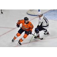 Greenville Swamp Rabbits defenseman Miles Gendron