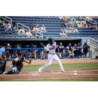 Biloxi Shuckers' Zavier Warren at bat