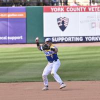 York Revolution shortstop Matt McDermott