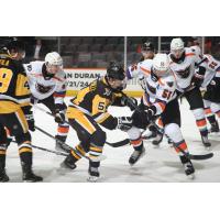 Lehigh Valley Phantoms battle the Wilkes-Barre/Scranton Penguins