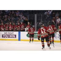 Tucson Roadrunners' Kyle Crnkovic celebrates with teammates