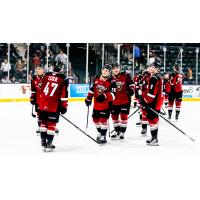 Vancouver Giants celebrate a win against the Red Deer Rebels