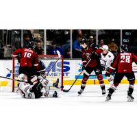 Vancouver Giants vs. the Red Deer Rebels