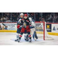 Grand Rapids Griffins center Marco Kasper