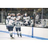 Maine Mariners exchange fist bumps along the bench