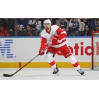 Defenseman Justin Holl with the Detroit Red Wings