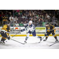 Maine Mariners forward Evan Vierling rips a shot vs. the Wheeling Nailers