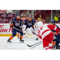 Flint Firebirds battle the Soo Greyhounds