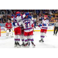 Kitchener Rangers celebrate a goal against the Guelph Storm