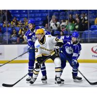 Syracuse Crunch battle the Wilkes-Barre/Scranton Penguins