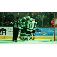 Texas Stars celebrate win