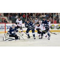 Worcester Railers goaltender Michael Bullion vs. the Adirondack Thunder