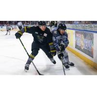 Wichita Thunder battles the Iowa Heartlanders