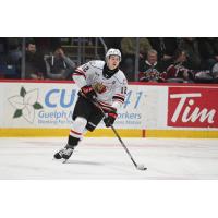 Forward Sam McCue with the Owen Sound Attack