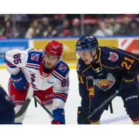 Kitchener Rangers' Chris Grisolia versus Barrie Colts' Riley Patterson