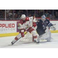 Grand Rapids Griffins' Austin Watson and Manitoba Moose's Kaapo Kähkönen in action