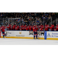 South Carolina Stingrays exchange congratulations along the bench