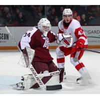 Peterborough Petes goaltender Masen Johnston vs. the Soo Greyhounds