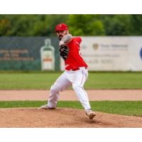 Zach Cameron pitching for the Hamilton Cardinals