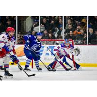 Kitchener Rangers goaltender Jackson Parsons