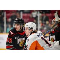 Owen Sound Attack's James Petrovski and Flint Firebirds' Sam McCue on game night