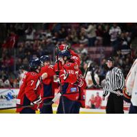 South Carolina Stingrays celebrate a goal