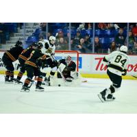 Vancouver Giants goaltender Burke Hood makes a stop against the Brandon Wheat Kings