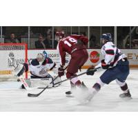 Peterborough Petes left wing Caden Taylor shoots against the Saginaw Spirit