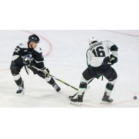 Wichita Thunder battle the Utah Grizzlies