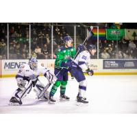 Worcester Railers' Michael Bullion and Griffin Luce and Maine Mariners' Owen Pederson on the ice