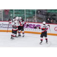 Belleville Senators celebrate a goal against the Hartford Wolf Pack