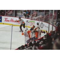 Flint Firebirds celebrate against the Windsor Spitfires