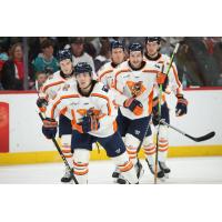 Greenville Swamp Rabbits on game night