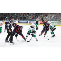 Texas Stars battle the Coachella Firebirds