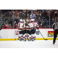 Tucson Roadrunners' Cameron Hebig celebrates with team