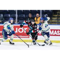 Kelowna Rockets' Jakub Stancl versus Swift Current Broncos' Clarke Caswell