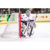 Worcester Railers goaltender Michael Bullion