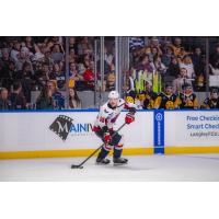 South Carolina Stingrays defenseman Andrew Perrott