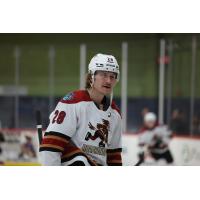 Tucson Roadrunners forward Curtis Douglas