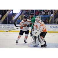 Greenville Swamp Rabbits goaltender Dryden McKay vs. the Florida Everblades