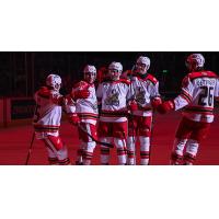 Grand Rapids Griffins celebrate a goal