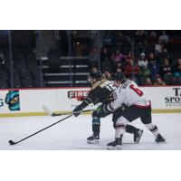 Tahoe Knight Monsters forward Jake McGrew (left) vs. the Adirondack Thunder