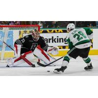 Rockford IceHogs' Drew Commesso versus Texas Stars' Matej Blümel