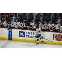 Wichita Thunder's Joe Carroll congratulated by team